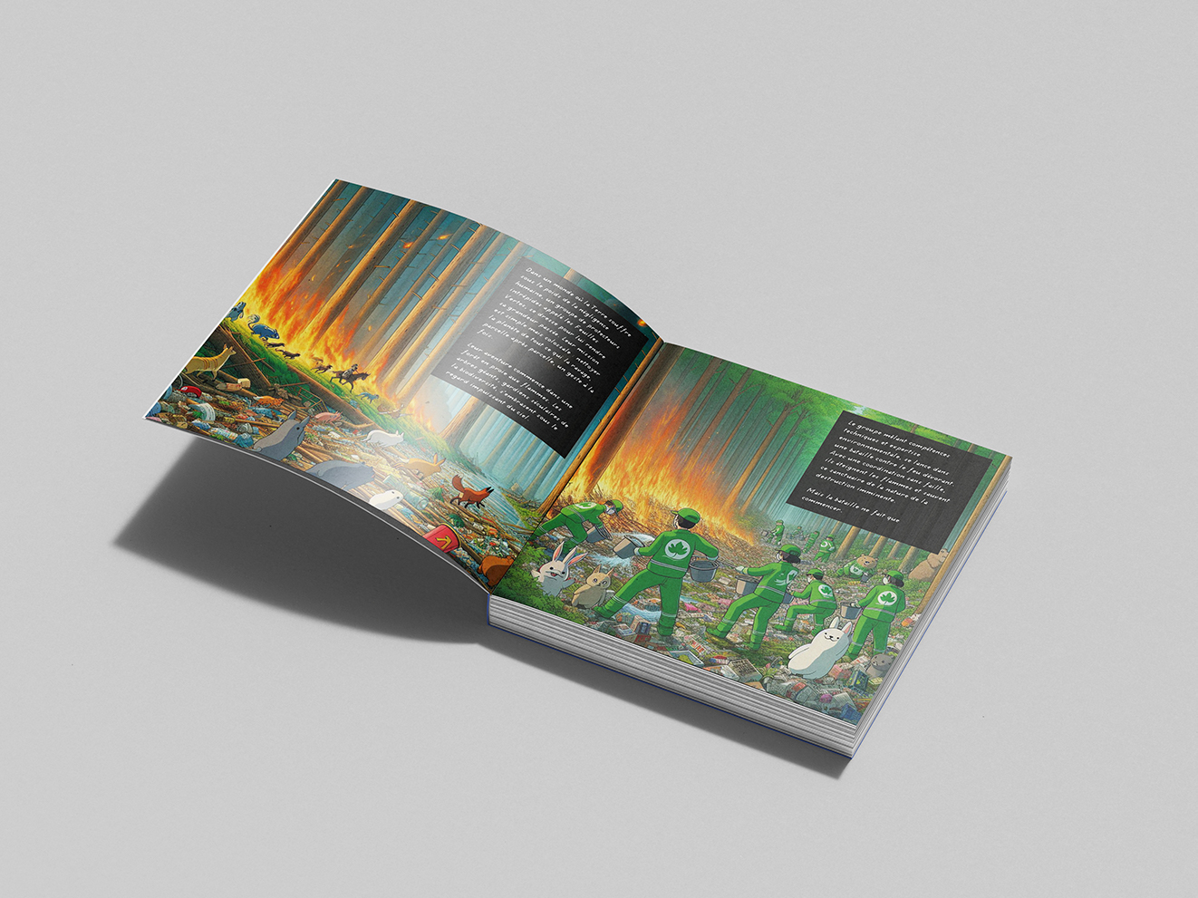 Narration illustrée